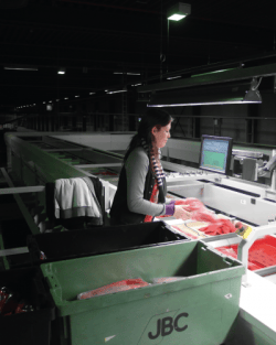 sorting machine