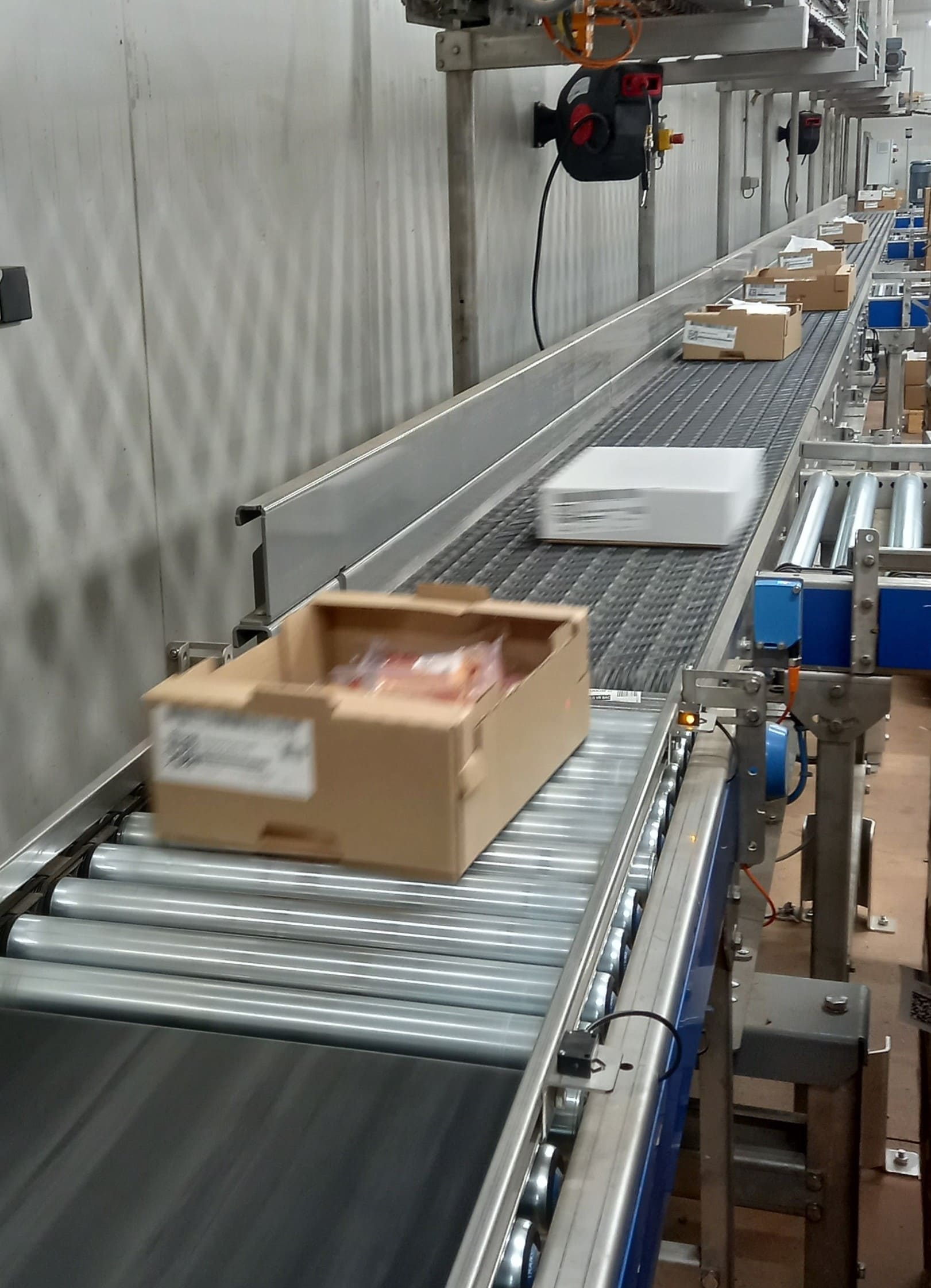 Intralox conveyor - Transitic - Food industry