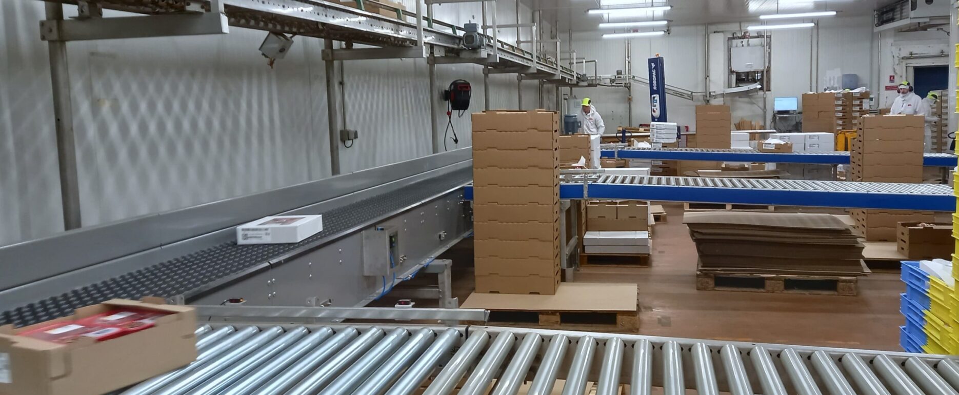 Peigne de tri - Sorting comb - Transitic