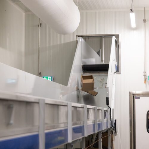 Convoyeur déchets - Maximo - Transitic Systems