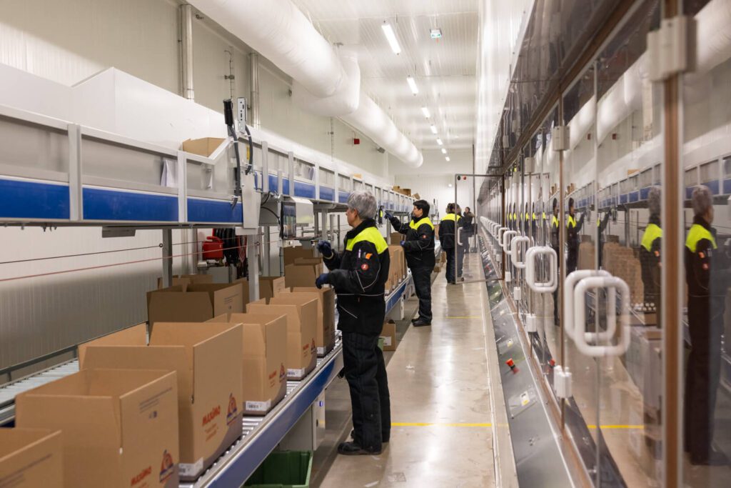 Transitic systems - Maximo - installations@ACHphoto (1) Transitic systems - Maximo - installations