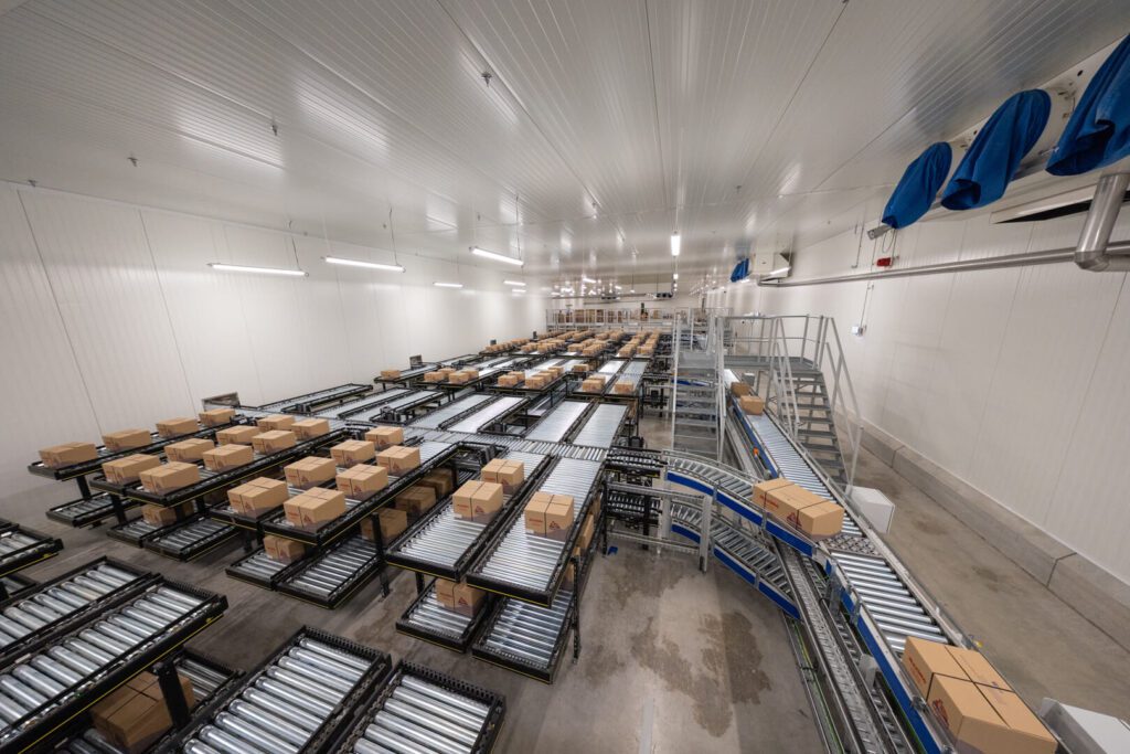 web_TRANSITIC_Maximo_20231114_205@ACHphoto buffer food industry - Transitic